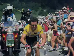 TDF-1986