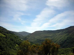 DSCN5020 DSCN5020
