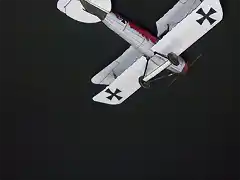 Albatros DV (57)