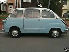 multipla (5)