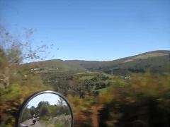 IMG_1014 IMG_1014