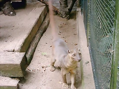 PIC03316 PIC03316