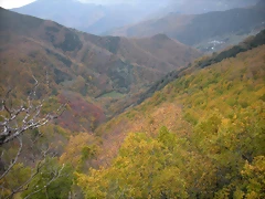 DSCN0797 DSCN0797