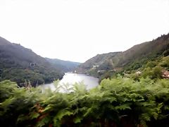 DSCN3545 DSCN3545