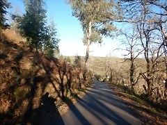 DSCN2615 DSCN2615