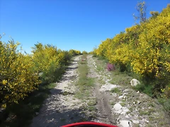 04-IMG_6504 04-IMG_6504
