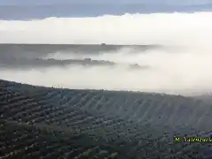 03, niebla en las caadas 3, marca