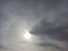 DSCN6711 DSCN6711