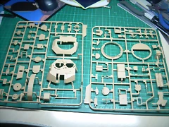 DSCN3534 DSCN3534