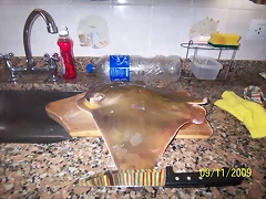 pesca puntapiedra 007 (2)