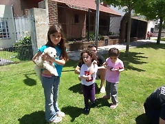 varios mes 11-2010 034