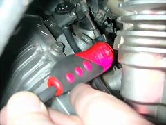 DSCN6400