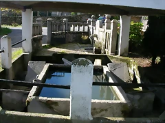 DSCN6394 DSCN6394