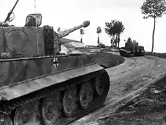 SS-Tiger-101-01 221