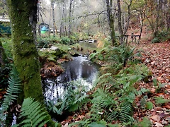 DSCN1277 DSCN1277