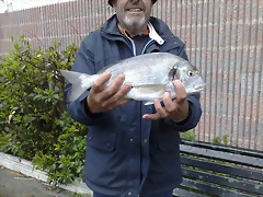 25042011985