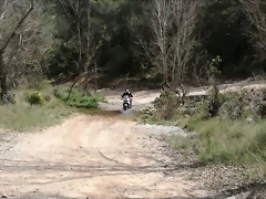 2Pascua 4
