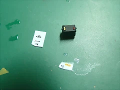 P1100310 P1100310