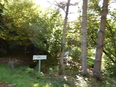 DSCN8667 DSCN8667