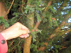 IMG_0705 IMG_0705
