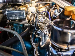 DSC_0431 DSC_0431
