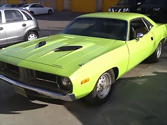IMAG0179