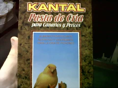 IMG00088-20100917-1900