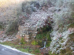 DSCN4791 DSCN4791