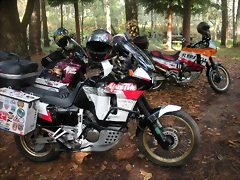 DSCN9768 DSCN9768