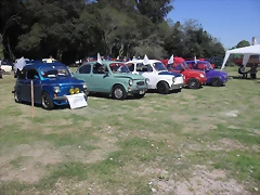SDC13479 SDC13479