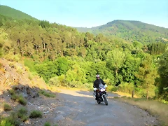 46-IMG_6977 46-IMG_6977