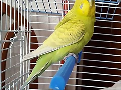 20170517_112116 20170517_112116
