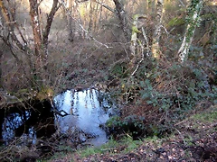IMG_0495 IMG_0495