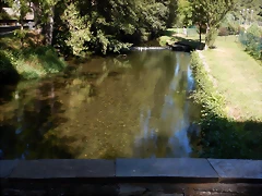 DSCN0294 DSCN0294