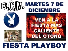 fiesta playboy2