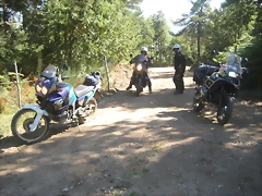 IMG_0500 IMG_0500