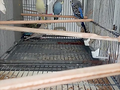 IMG_20250606_162206