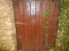 DSCN6067 DSCN6067
