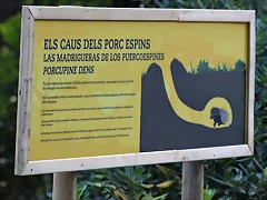 Zoo de Barcelona 26-09-11 512 Zoo de Barcelona 26-09-11 512