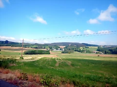 DSCN6163