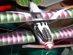 Albatros DV (40)