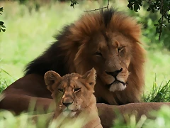 Lion Park & Johannesburg  Zoo 31-01-09 202