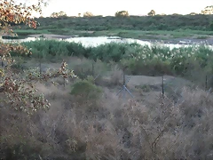 Kruger National Park 28-31 mayo 2009 1336