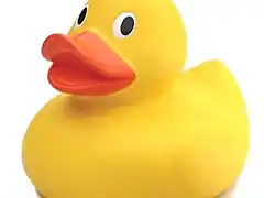 patito