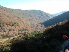 DSCN6885 DSCN6885