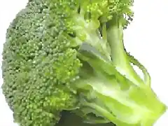 brocoli-bueno-a-la-salud