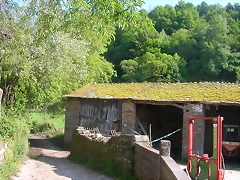 DSCN6926