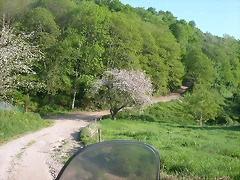 DSCN6975 DSCN6975