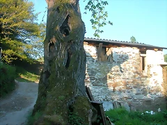 DSCN7007