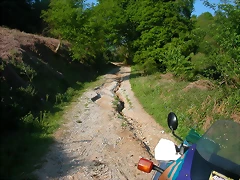 DSCN6983 DSCN6983